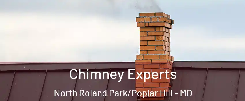 Chimney Experts North Roland Park/Poplar Hill - MD