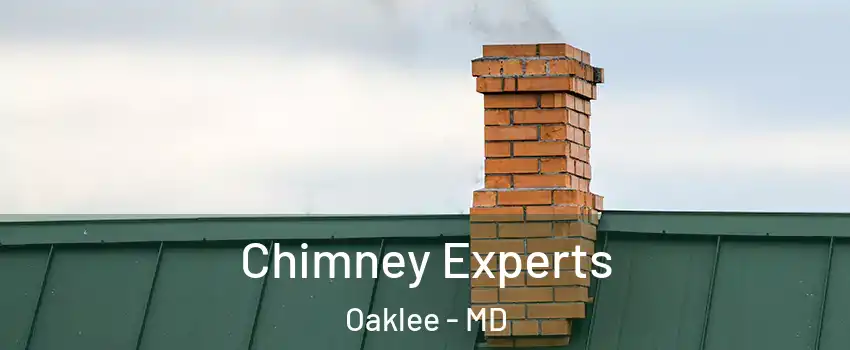 Chimney Experts Oaklee - MD