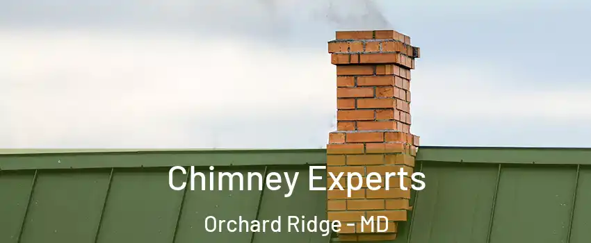 Chimney Experts Orchard Ridge - MD