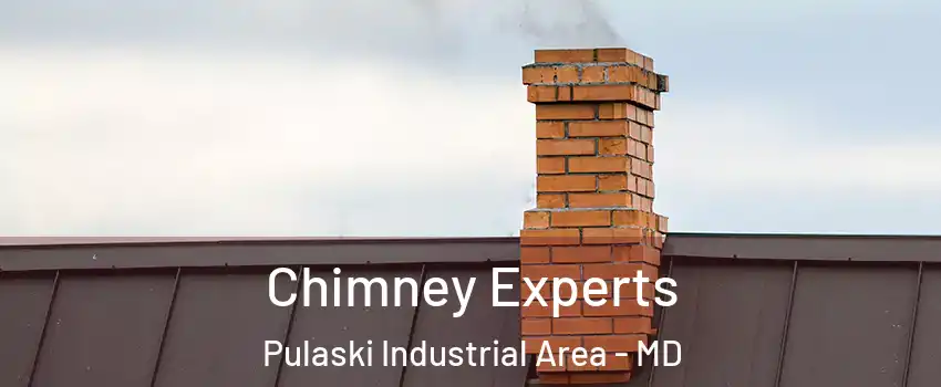 Chimney Experts Pulaski Industrial Area - MD