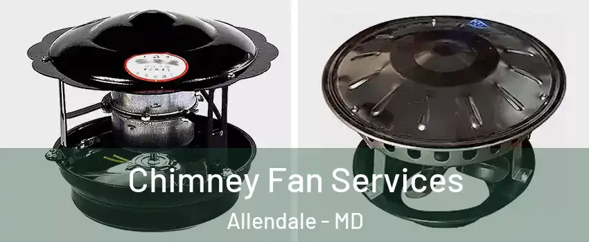 Chimney Fan Services Allendale - MD