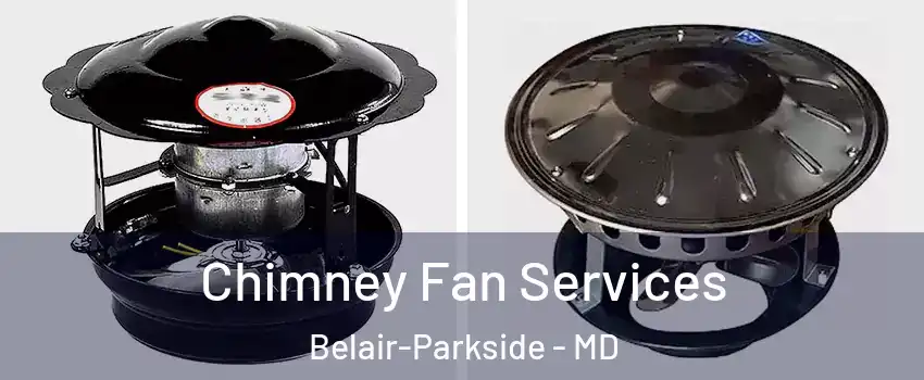 Chimney Fan Services Belair-Parkside - MD