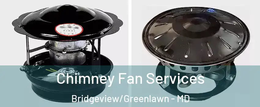 Chimney Fan Services Bridgeview/Greenlawn - MD