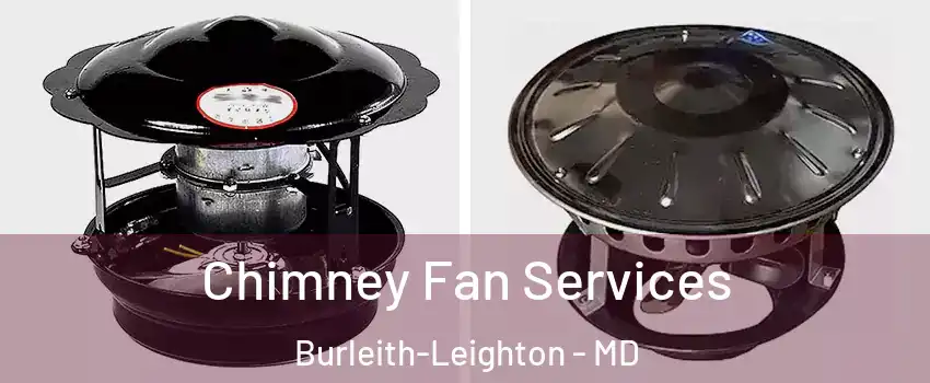 Chimney Fan Services Burleith-Leighton - MD