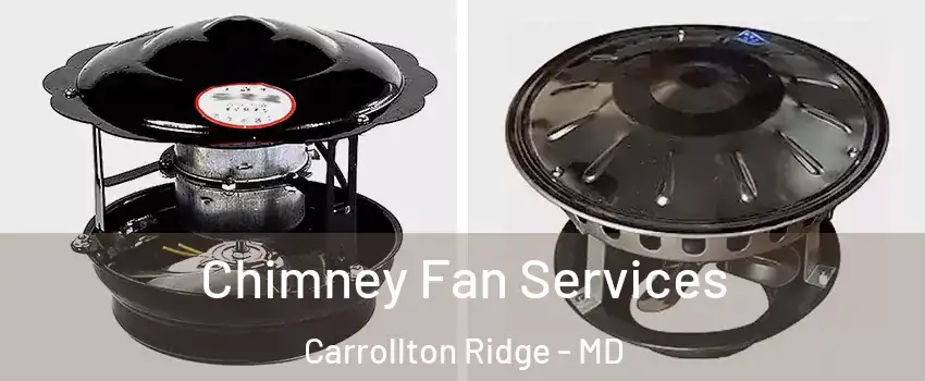 Chimney Fan Services Carrollton Ridge - MD