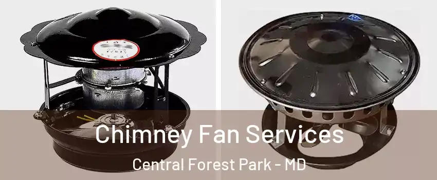 Chimney Fan Services Central Forest Park - MD