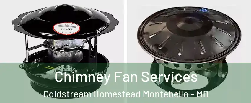 Chimney Fan Services Coldstream Homestead Montebello - MD