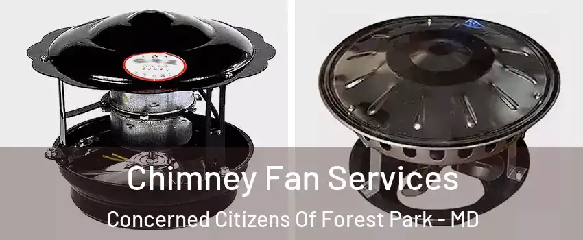 Chimney Fan Services Concerned Citizens Of Forest Park - MD