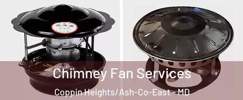 Chimney Fan Services Coppin Heights/Ash-Co-East - MD