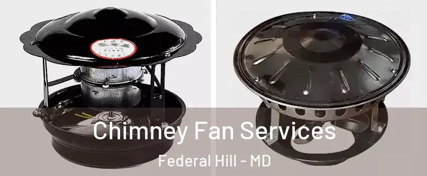 Chimney Fan Services Federal Hill - MD