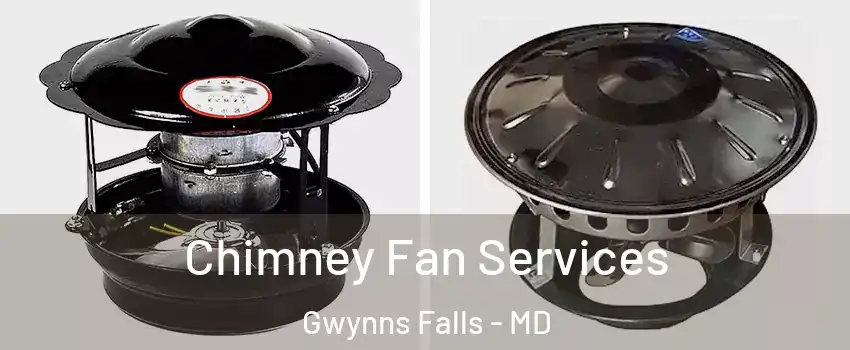 Chimney Fan Services Gwynns Falls - MD