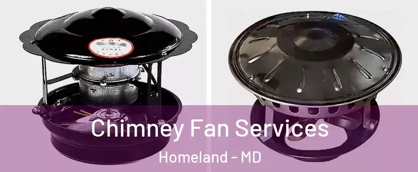 Chimney Fan Services Homeland - MD