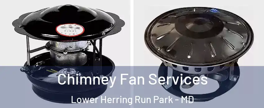Chimney Fan Services Lower Herring Run Park - MD