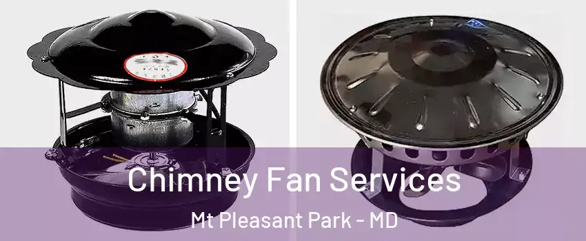 Chimney Fan Services Mt Pleasant Park - MD