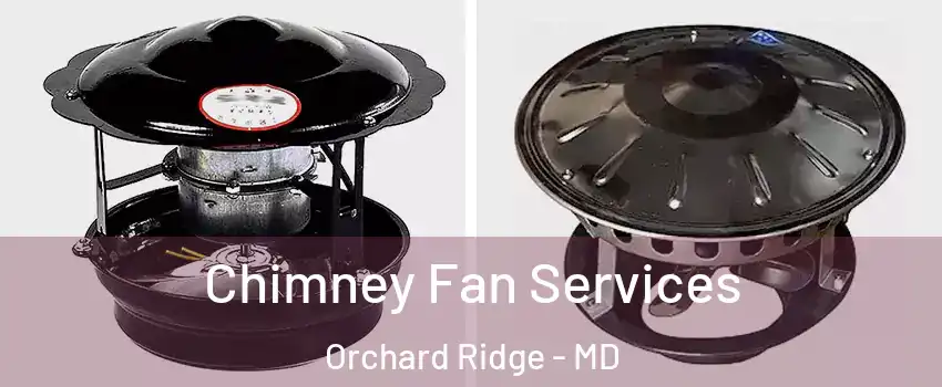 Chimney Fan Services Orchard Ridge - MD