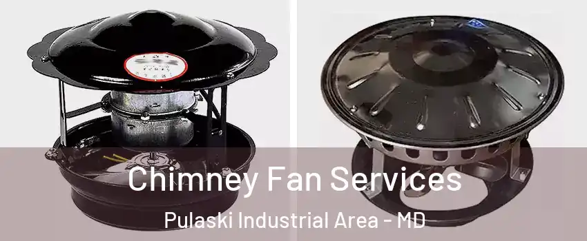 Chimney Fan Services Pulaski Industrial Area - MD