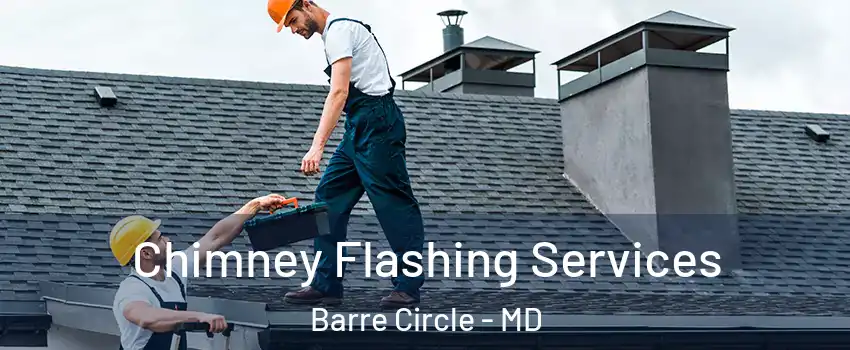 Chimney Flashing Services Barre Circle - MD