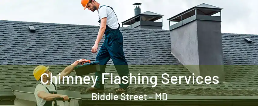 Chimney Flashing Services Biddle Street - MD