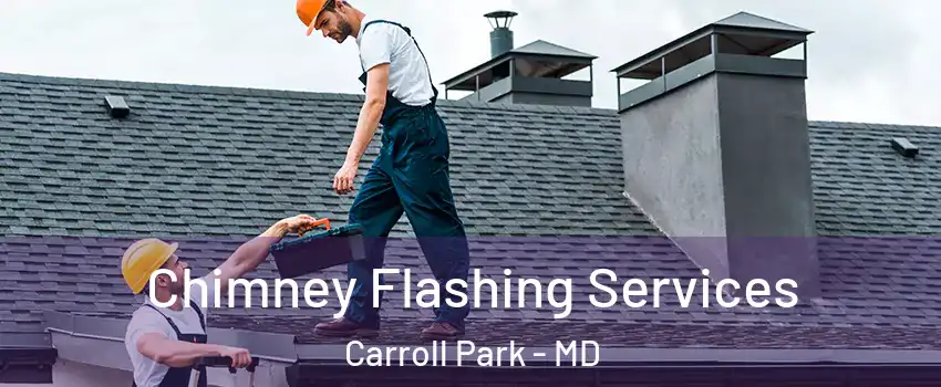 Chimney Flashing Services Carroll Park - MD