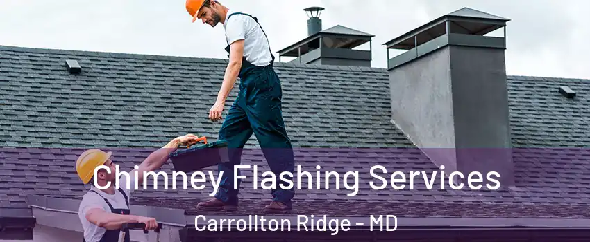 Chimney Flashing Services Carrollton Ridge - MD