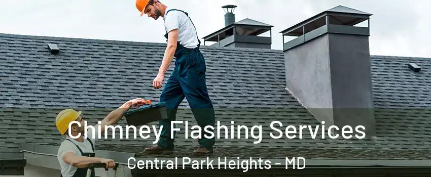 Chimney Flashing Services Central Park Heights - MD