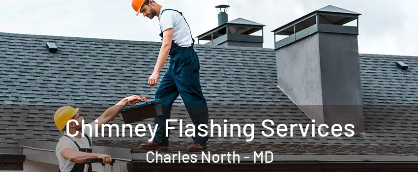 Chimney Flashing Services Charles North - MD