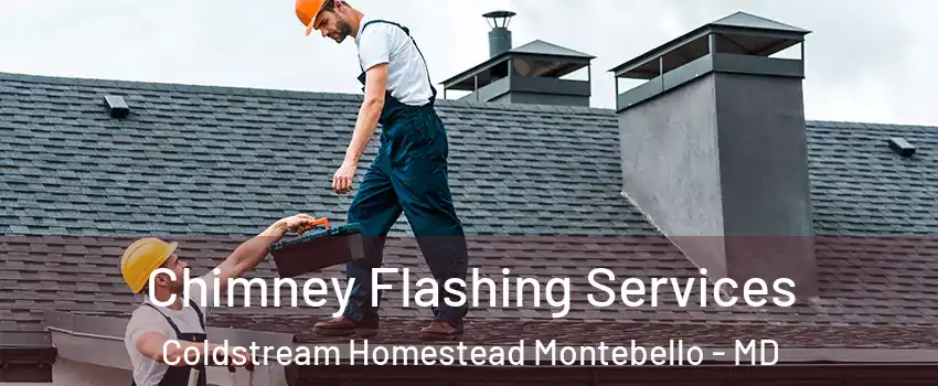 Chimney Flashing Services Coldstream Homestead Montebello - MD