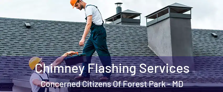 Chimney Flashing Services Concerned Citizens Of Forest Park - MD