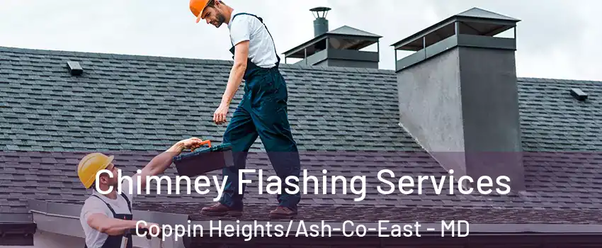 Chimney Flashing Services Coppin Heights/Ash-Co-East - MD