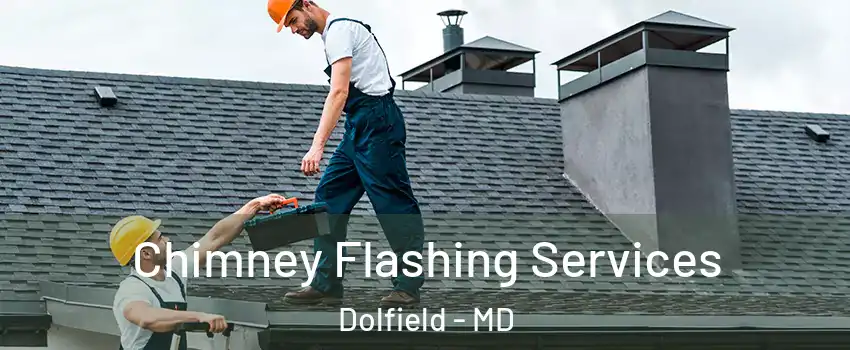Chimney Flashing Services Dolfield - MD