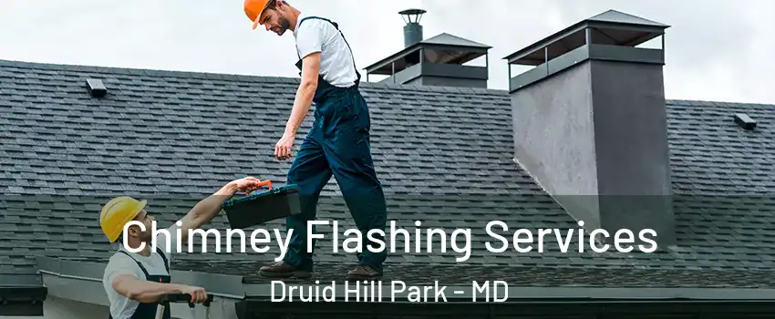 Chimney Flashing Services Druid Hill Park - MD