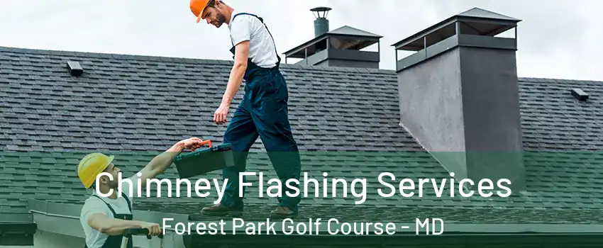 Chimney Flashing Services Forest Park Golf Course - MD