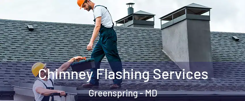 Chimney Flashing Services Greenspring - MD