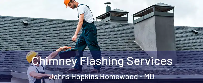 Chimney Flashing Services Johns Hopkins Homewood - MD