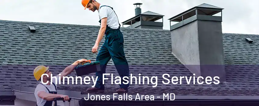 Chimney Flashing Services Jones Falls Area - MD