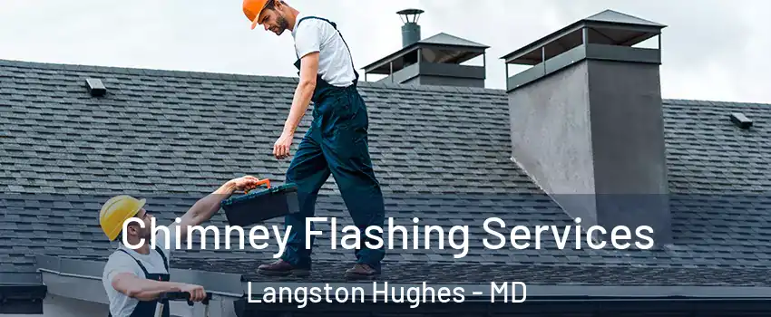 Chimney Flashing Services Langston Hughes - MD