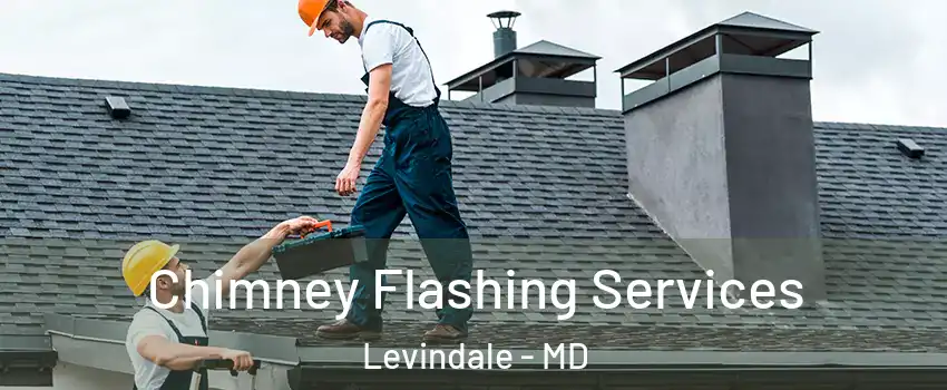 Chimney Flashing Services Levindale - MD