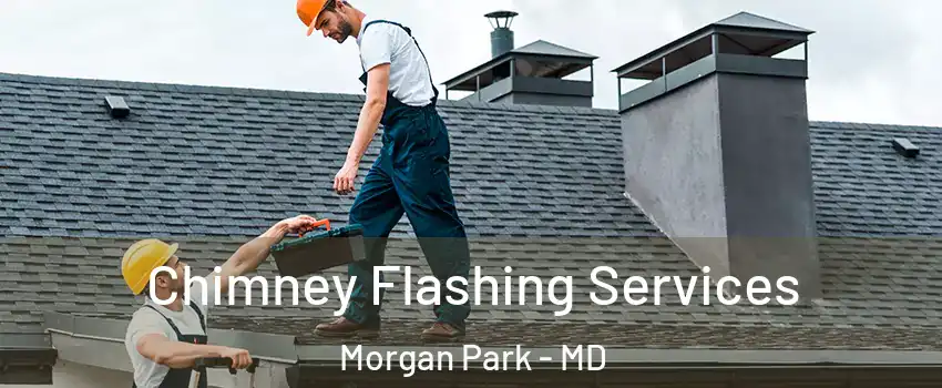 Chimney Flashing Services Morgan Park - MD