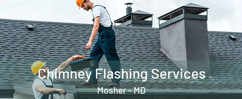 Chimney Flashing Services Mosher - MD