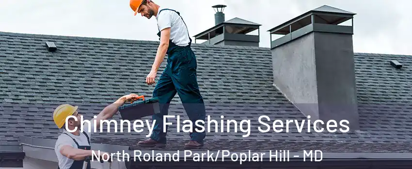 Chimney Flashing Services North Roland Park/Poplar Hill - MD