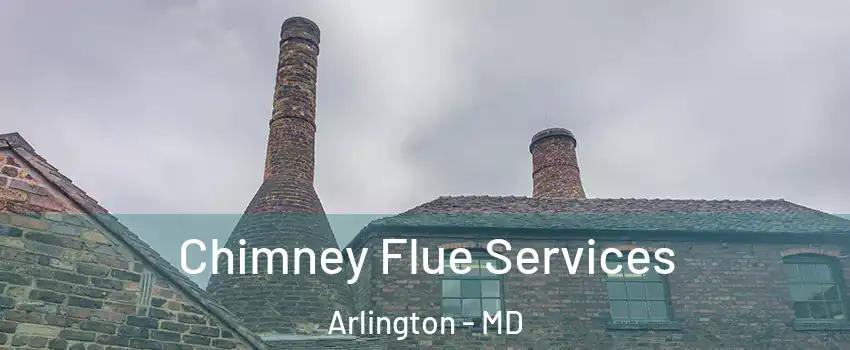 Chimney Flue Services Arlington - MD