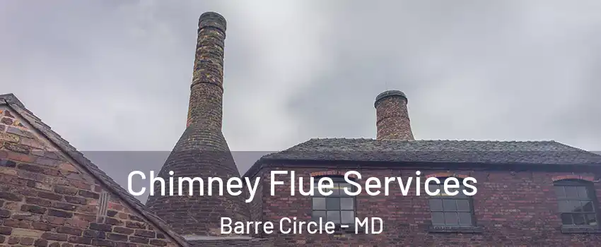 Chimney Flue Services Barre Circle - MD