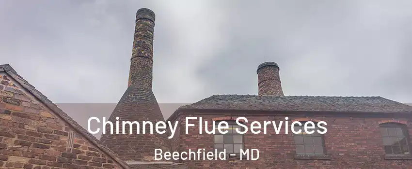Chimney Flue Services Beechfield - MD