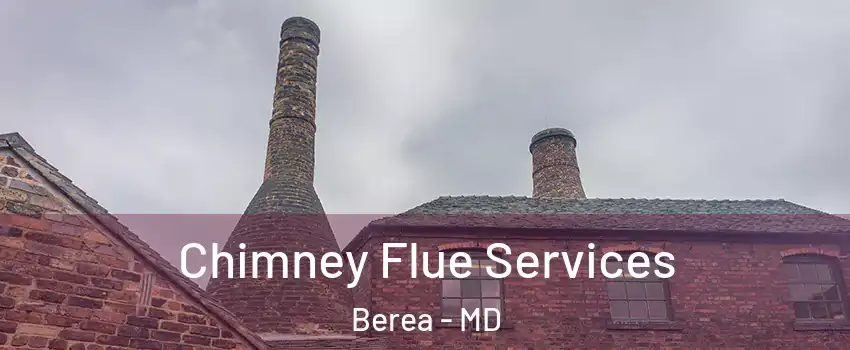 Chimney Flue Services Berea - MD