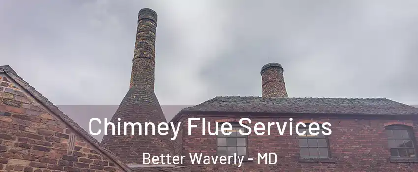 Chimney Flue Services Better Waverly - MD