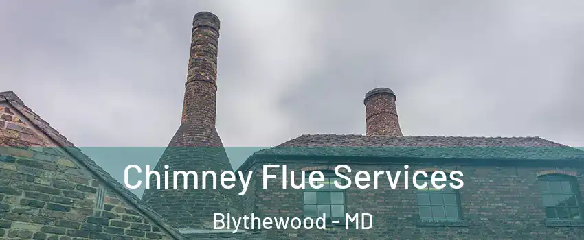 Chimney Flue Services Blythewood - MD