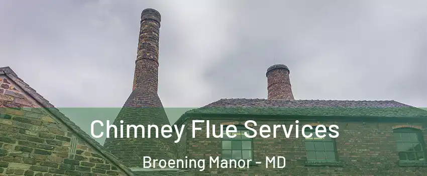 Chimney Flue Services Broening Manor - MD