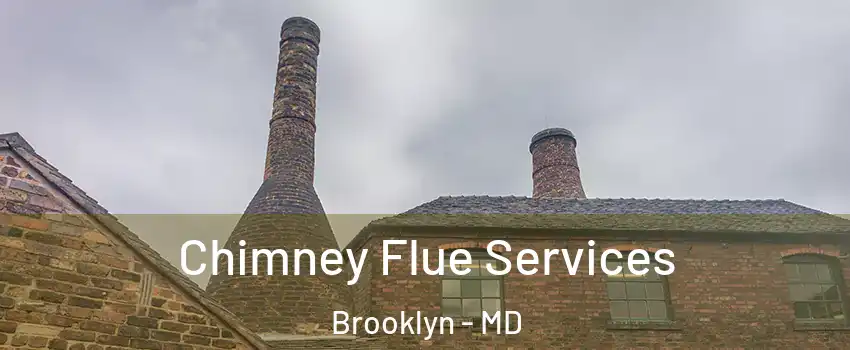 Chimney Flue Services Brooklyn - MD