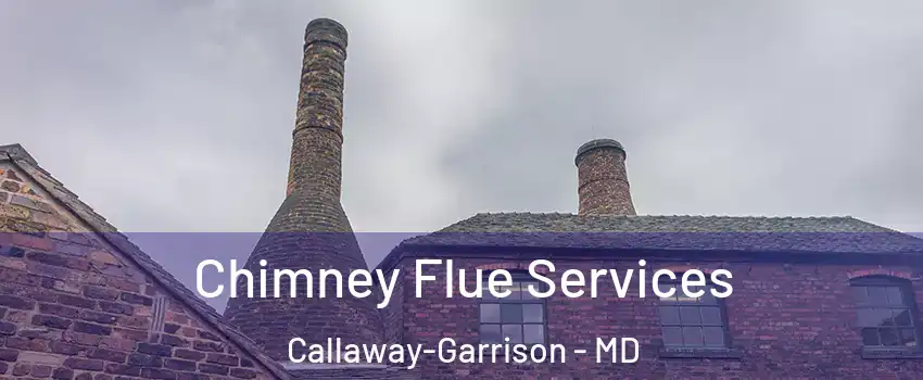 Chimney Flue Services Callaway-Garrison - MD