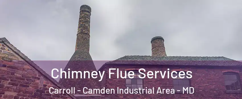 Chimney Flue Services Carroll - Camden Industrial Area - MD